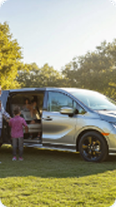 Book Online highlight